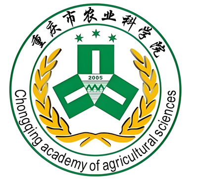 研究所20